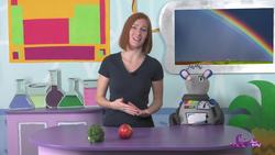 How Do We See Color? Instructional Video