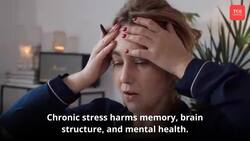 7 Common factors that cause brain aging News Clip