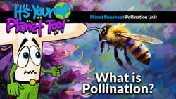 The Buzz on Pollination: How Honey Bees Power Agriculture Instructional Video