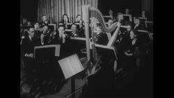 Australia, c.1951: String instrument performers play a tune in an orchestra Stock Footage
