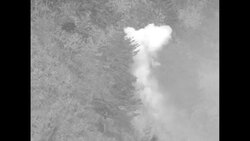 South Korean soldiers firing on distant hill, North Koreans surrendering during Korean War in 1951 News Clip