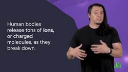 How to Avoid Corpse-Flavored Water Instructional Video