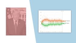 Does Coronavirus Impact Trump's Re-election in 2020 - TLDR News Instructional Video