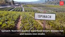 5 iron-rich foods to beat fatigue, boost immunity Instructional Video