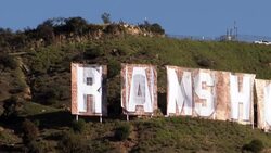 CLEAN : Iconic 'Hollywood' sign reads 'Ram's House' after LA Super Bowl win News Clip