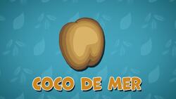 I WONDER - What Is The Biggest Seed In The World? Instructional Video