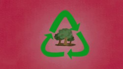 Environmental Impacts of Detergents Instructional Video