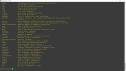 Cisco CCNA 200-301: The Complete Guide to Getting Certified - Navigating the Cisco IOS Operating System Part 1 Instructional Video