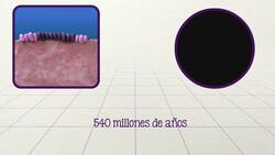 El ojo ¿diseño o evolución? Instructional Video