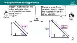 Sine and cosine ratios Instructional Video