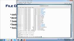 Linux Crash Course for Beginners - 2023 - File Display Commands Instructional Video