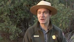 Study the Scientist: A Social Scientist Instructional Video