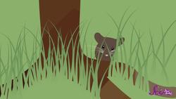 Camouflage: Animal Hide & Seek Instructional Video