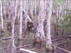 The Outer Planets: the Asteroid Belt Instructional Video