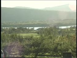 Photosynthesis and Plant Responses: Chloroplasts Instructional Video