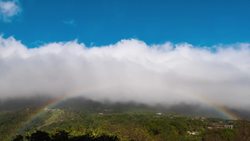 Exploring the Phenomenon of Rainbows Instructional Video