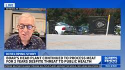 Insects, mold found at Boar's Head plant connected to listeria News Clip