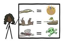 The Science of Roadkill Instructional Video