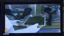 Nuclear energy conference: Iran hosts gathering in the city of Isfahan News Clip