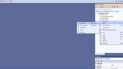 C++ Developer - Project - Parallel Arrays/Vectors Instructional Video