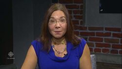 What can we learn from Irma? | Sunday Panel News Clip