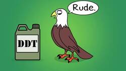 Biomagnification and the Trouble with Toxins Instructional Video