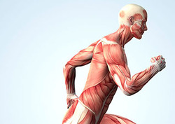 What is Fitness? Instructional Video