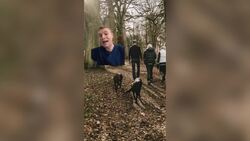 Veterinarian reveals how to comfort your pet during fireworks Instructional Video