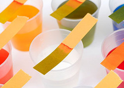 pH Instructional Video