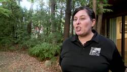 Zoo pairs solo cheetah cubs with canine playmates News Clip