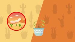 I WONDER - How Do Some Plants Survive In The Desert? Instructional Video