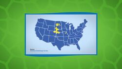 Endangered Chicken's Feet Stompin' Mating Dance is a Must-See Instructional Video