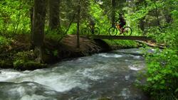 Surfing in Wyoming and other National Forest Adventures Instructional Video