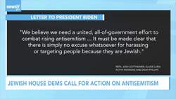 Jewish House Democrats Call For Action On Antisemitism News Clip