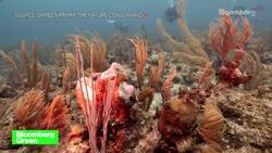 Debt for Nature Swaps News Clip