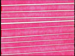 The Three Types of Muscles in the Human Body Instructional Video