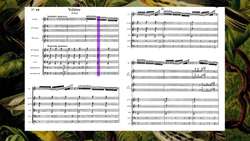 Listener's Guide To Carnival Of The Animals By Camille Saint-Säens - Movement 10 - Aviary Instructional Video