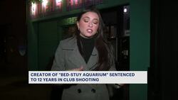 Founder of 'Bed-Stuy Aquarium' sentenced to 12 years in prison for 2023 shooting News Clip