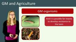 Agricultural Solutions for Feeding a Growing Population: GM Organisms, Fertilizers, and Biological Control Instructional Video