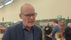 Former Fine Gael deputy leader Simon Coveney discusses Irish General Election News Clip