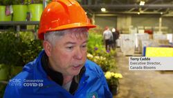 Weighing the risks of mass gatherings during coronavirus outbreak News Clip