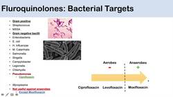 Fluoroquinolones | 2nd vs 3rd vs 4th Generation | Targets, Mechanism of Action Instructional Video
