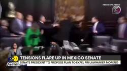 Fight breaks out in Mexican senate between chamber president and opposition leader News Clip
