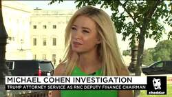 RNC Confirms Michael Cohen Remains Deputy Finance Director News Clip