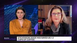 'A Performance Art Piece:' Stevenson on Musk, DOGE Cuts News Clip