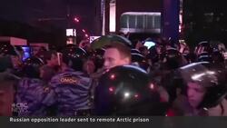 Putin critic Navalny located at Siberian prison colony News Clip
