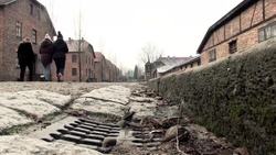 Politically Correct Concentration Camp Video Instructional Video