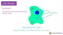 Using Domain-Specific Vocabulary to Clarify Your Writing Instructional Video