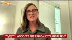 Cathie Wood on New ETF, Investing Strategy News Clip