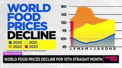 World Food Prices Down 18% Since March News Clip